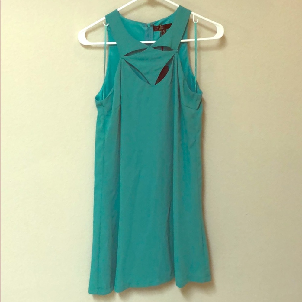 Mint green fun C. Luce dress